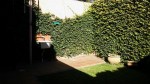 Alte. Brown 1675