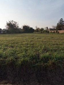4 de Enero  S/N