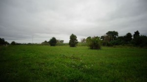 Av. Aristobulo del Valle 8600