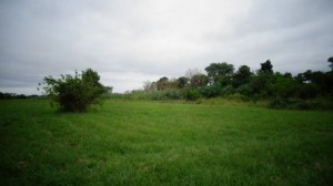 Av. Aristobulo del Valle 8600