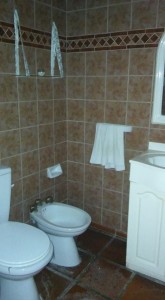 Alte. Brown 1675