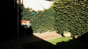 Alte. Brown 1675