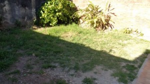 Luciano Torrent 3110